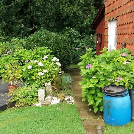 Ferienwohnung Im Waldwinkel Stadthagen Esterno foto