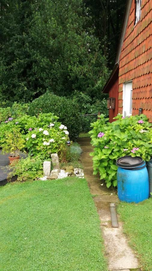 Ferienwohnung Im Waldwinkel Stadthagen Esterno foto